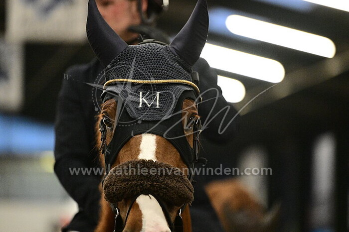 Niels Knape - Bravo Mansolein Z