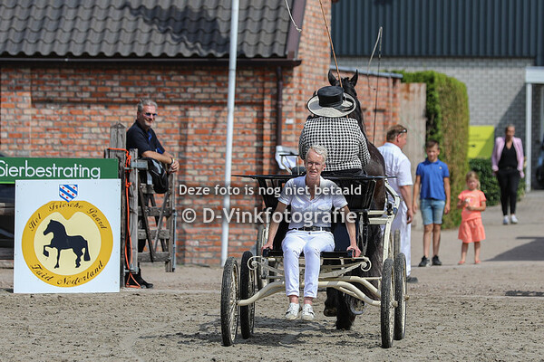 Damesklasse tuigpaarden
