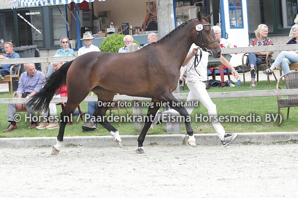 52 Name-it Karla (Hardwell x jaimy-Karla v. Biscayo) (1)