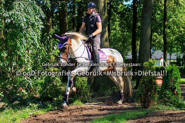Training Margo van Nijnatten Millstream Groep 5 15.30 09-08-23