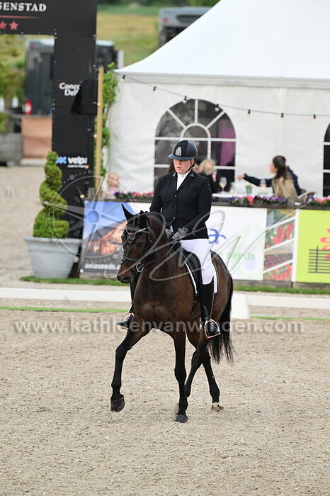 Daisy Leijenhorst - High Hill