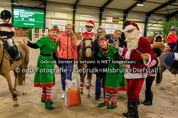 Green Valley Kerst Trophy Bixie 20cm 22-12-24