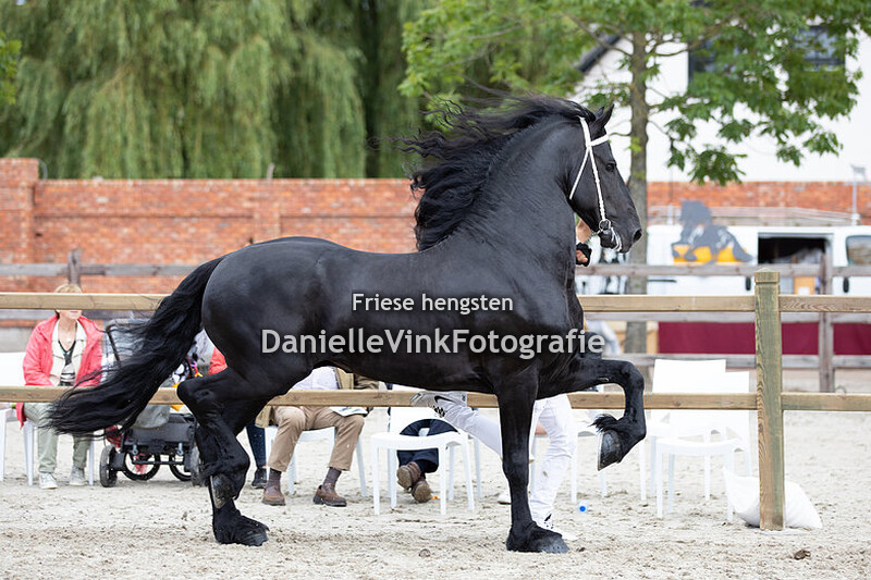 Friese fokdag Schijndel 2021 - Beant 517