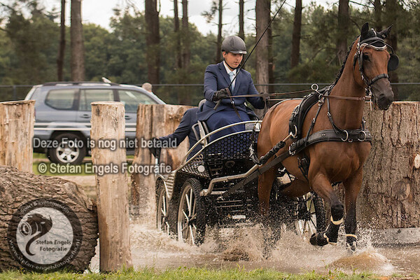 2017-07-15 passie voor paard en pony sevenum