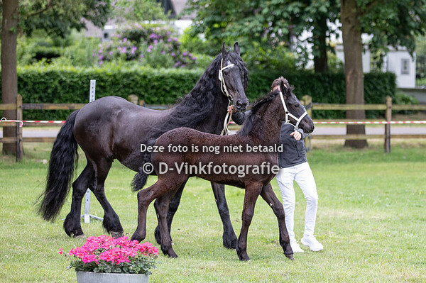 05. Fieke van Winnehof