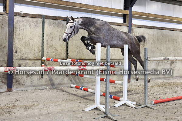 10 Scartlet (For Treasure x Dorette v. Vingino)