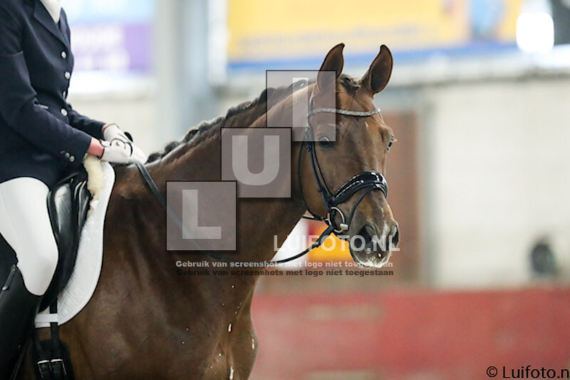 Dressuur Indoor Kring Midden