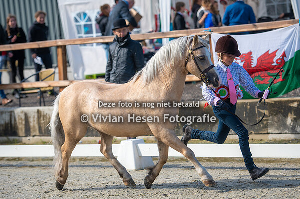 Young Handler rubrieken