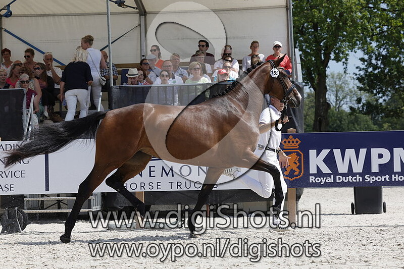 Papaya v. Just Wimphof