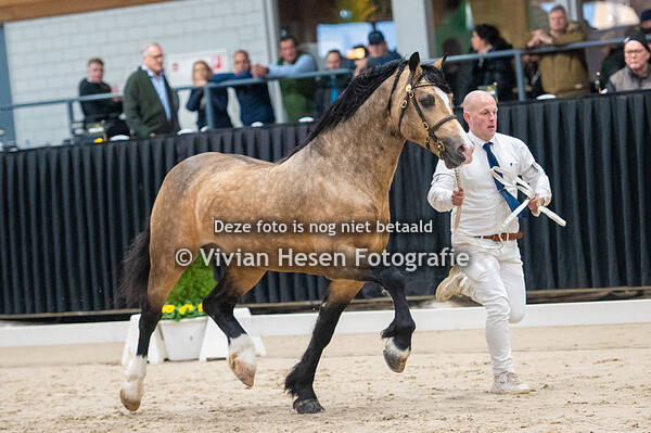 1e bezichtiging Sectie D