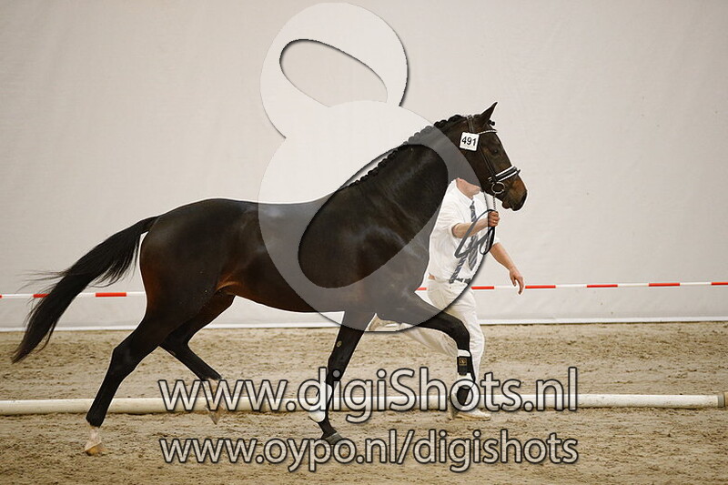 491 Ling Yao v. Guardian S