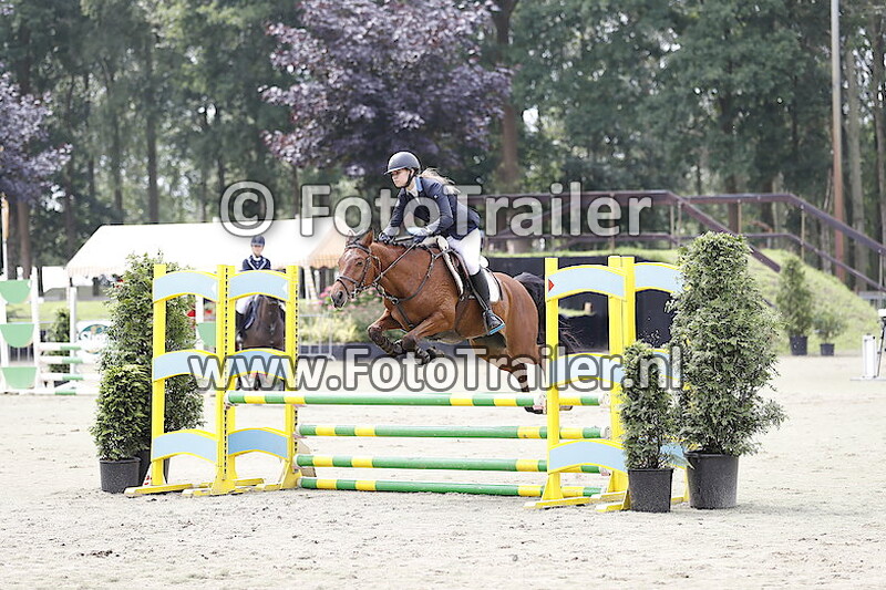 Demi Kattenpoel Oude Heerink