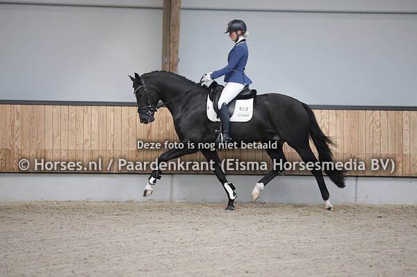 801 Oreo (Glock's Toto jr x desire v. Citango)