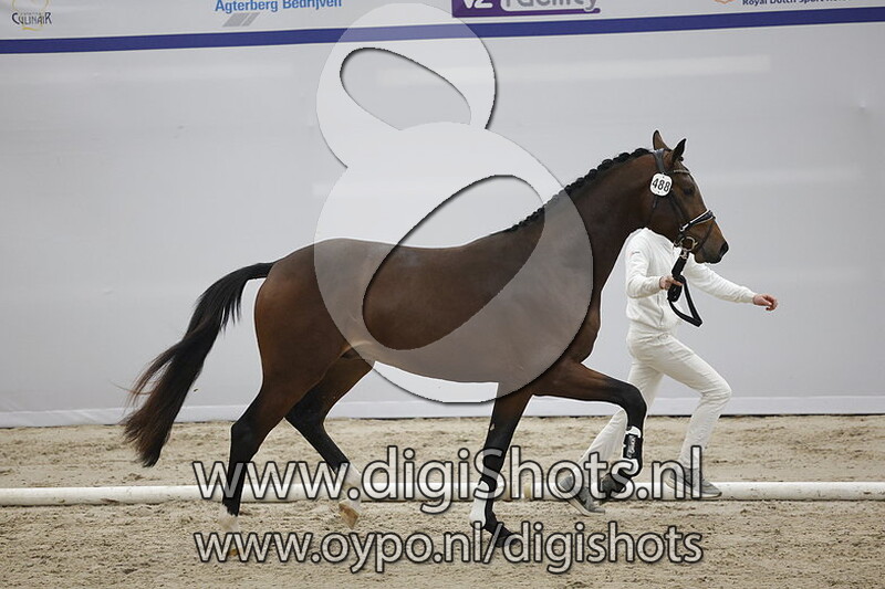 Prosperite v. Le Formidable - 488