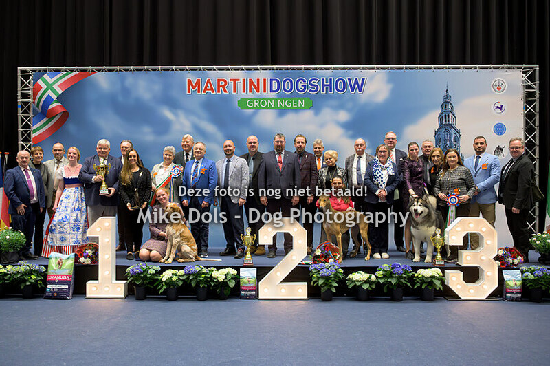 Martini Dogshow Zondag