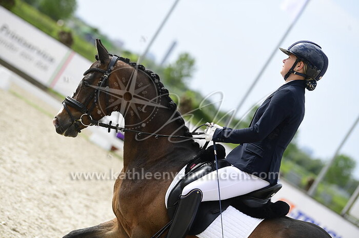 Demi van Lingen - Gentleman