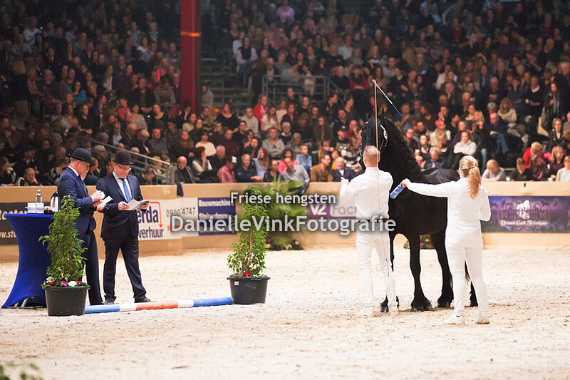 Hengstenkeuring 2018 Maeije 440