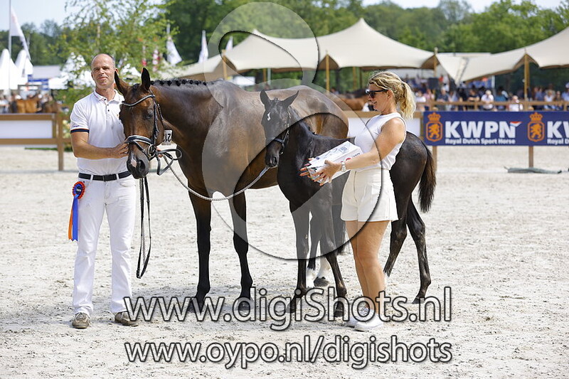 The Next Orange Crush v. Next Romancier