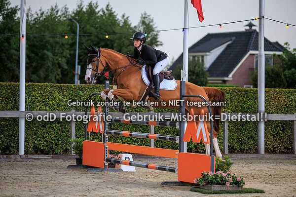 klaverblad concours hoevelaken 110cm 04-09-25