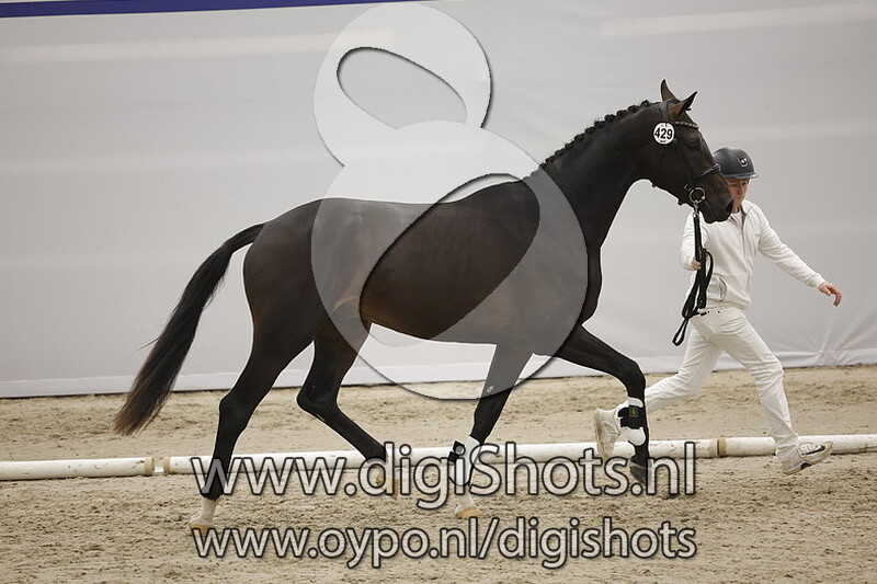 Perpignan vd Vijfsprong v. Jameson RS2 - 429