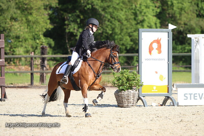 Hippisch Festijn PSV Polarfurst Pony's 50cm