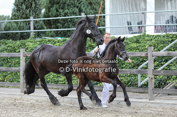 51. Yfke van 't Groothoogland