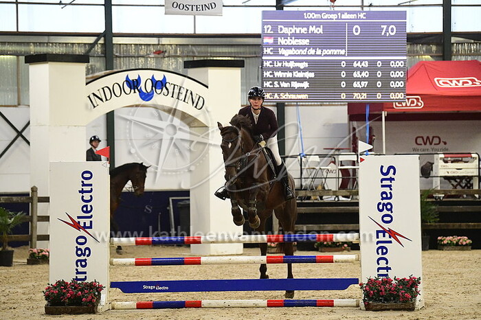 Daphne Mol - Noblesse