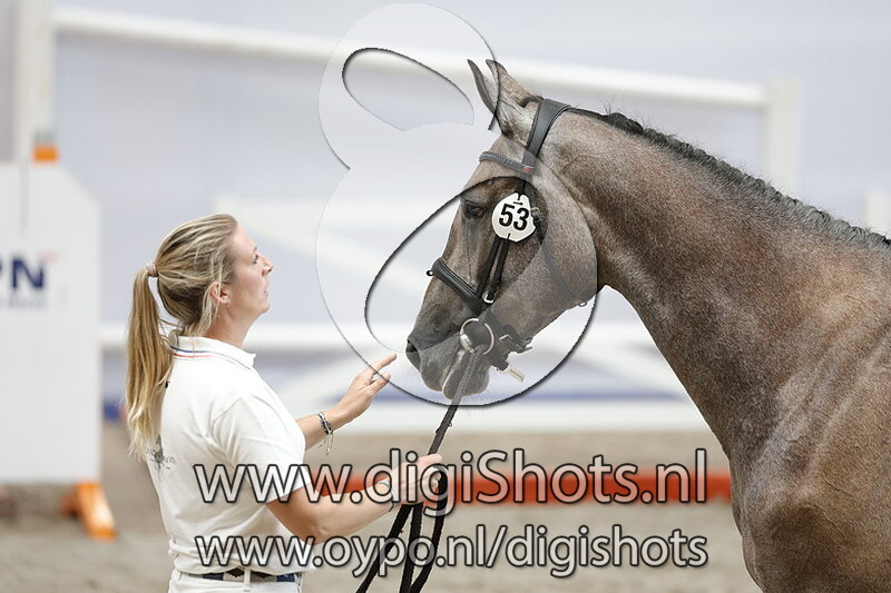 Polly v. Eldorado van de Zeshoek