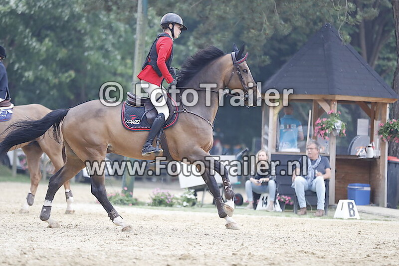 Noona Wildfang Linde