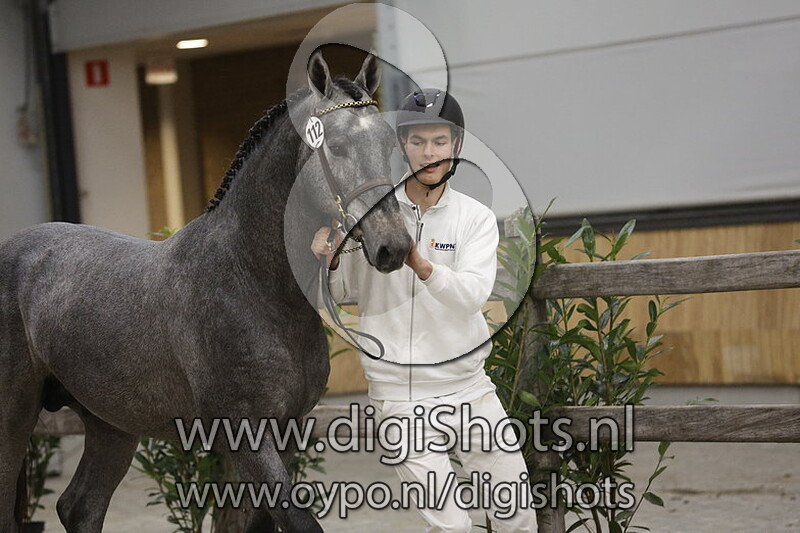 Radetski v. Lifeguard - 112