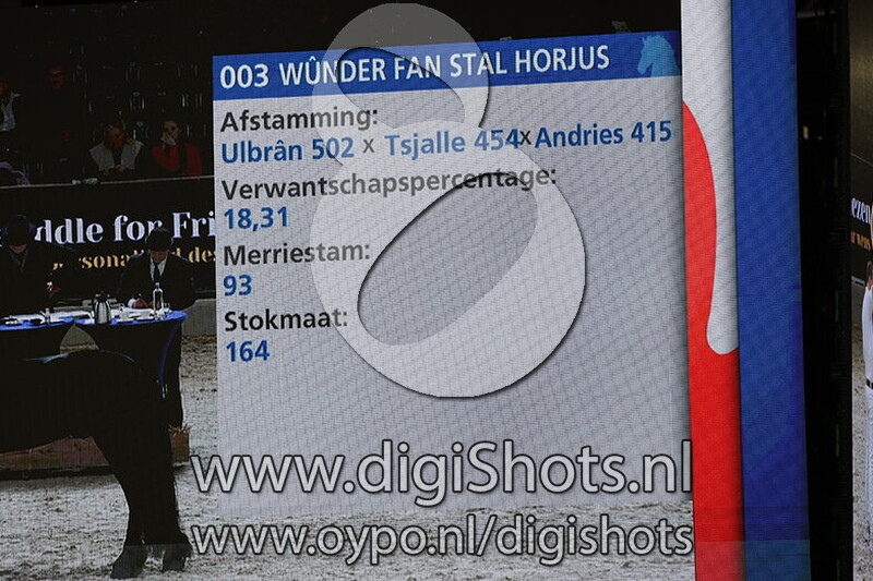 Wunder fan Stal Horjus