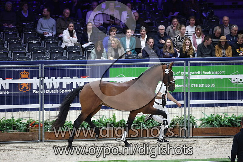 Suomi STMT v. Bordeaux