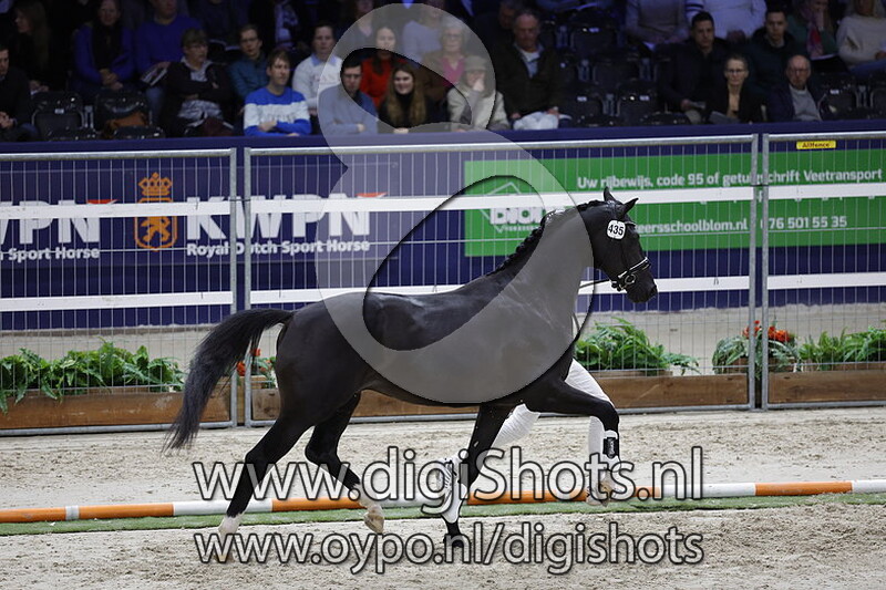 Racoon v. Kjento - 435