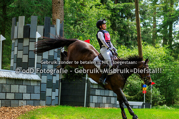 Maarsbergen Horse Trials CCI3-L 07-06-24
