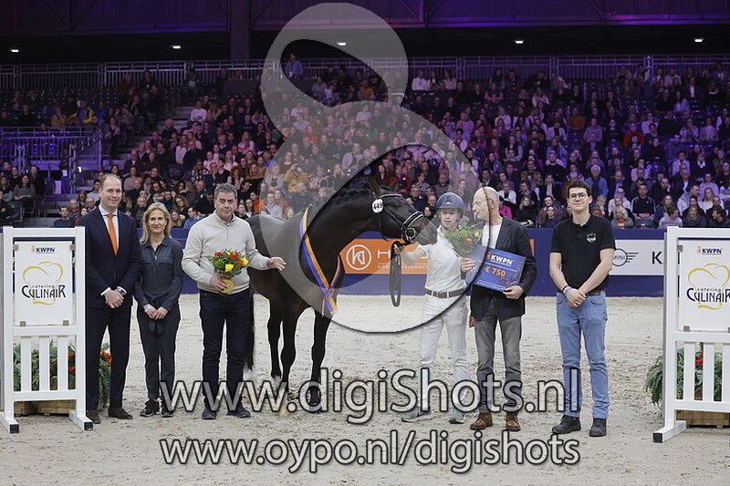 Perle v. Kjento - 449