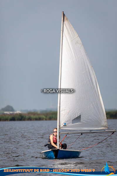 Zeilinstituut De Bird week 9