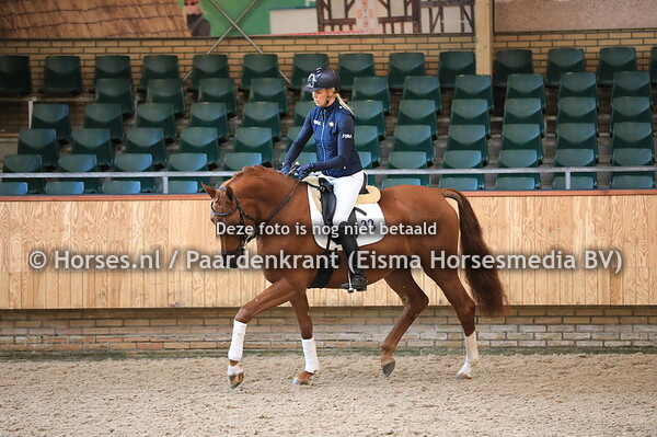 33 Lorette v Dream Boy