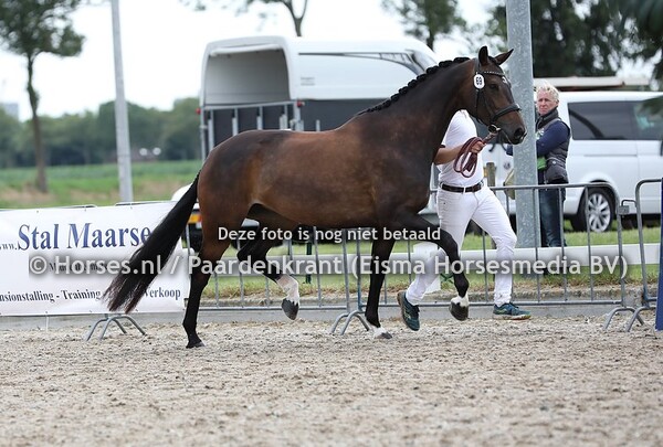 69 Ice Princess (Dream Boy x Lisa v. Houston)