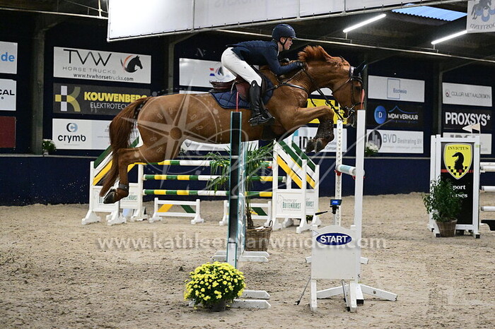 Witse Geysen - Noblesse van 't Butchershof