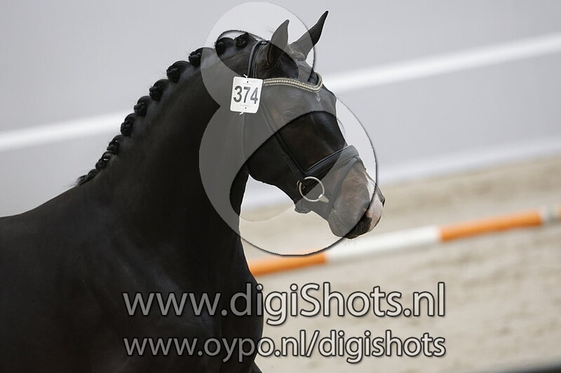 RafaeÌˆl Dsv v. Furst Dior - 374