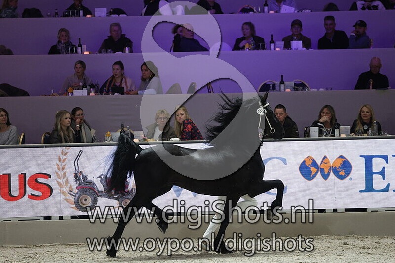 Theo Herne fan it Butenhiem