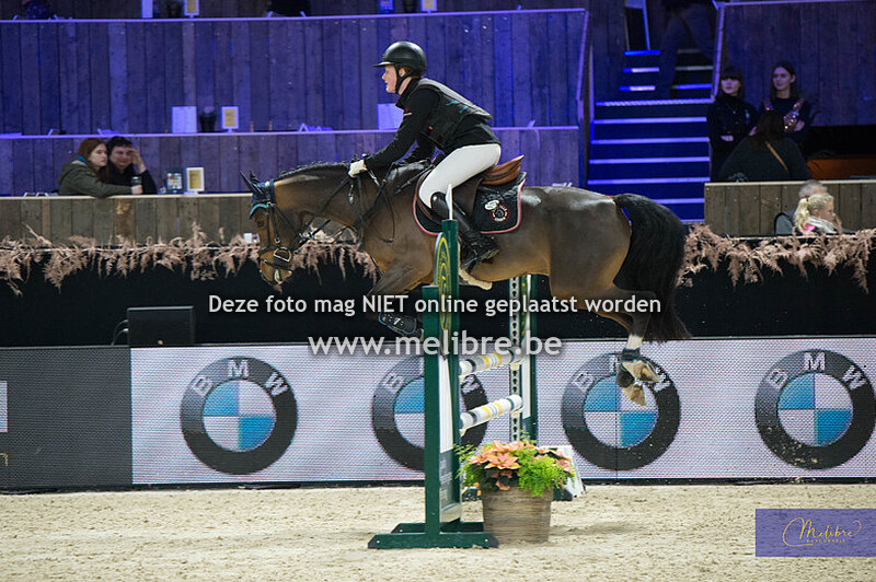 KBC Gouden Teugel Jumping