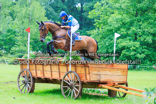 Maarsbergen Horse Trials CCI4-S 07-06-25