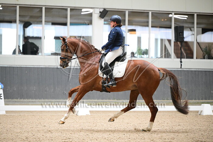 Petty van Dijk-Vos - Provini VDP