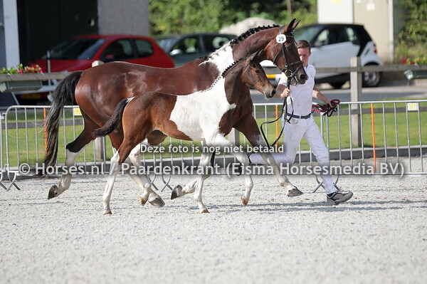 25-07-22 Exloo CK Drenthe