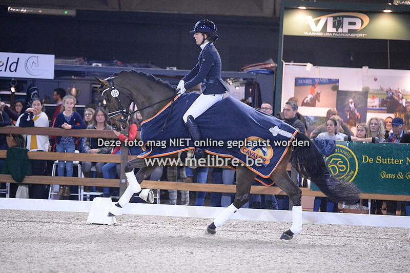 JM18 -ZAT- Cavalor Cup Final Dressage