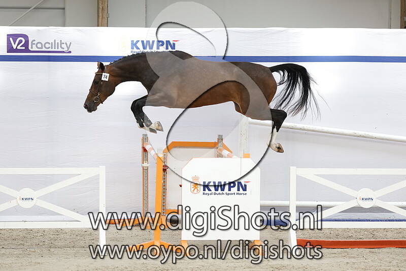 Passion v. La Costa ES