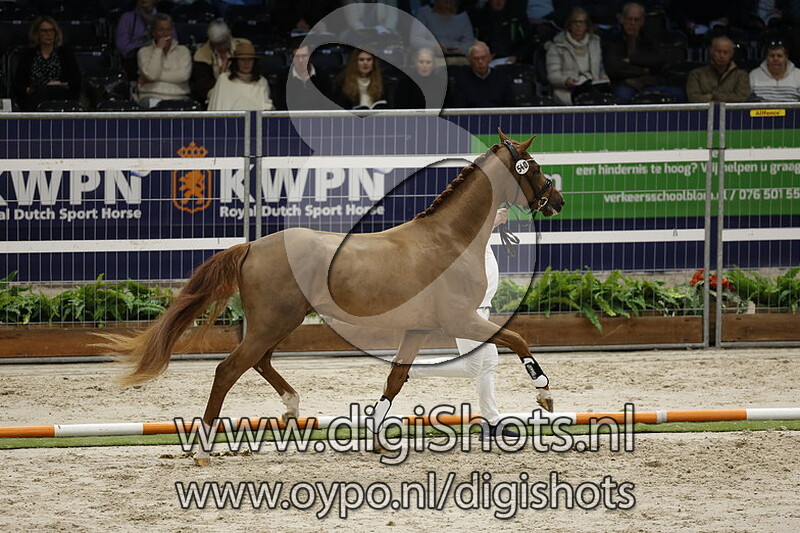 Red Knight Dsv v. Vivino - 540