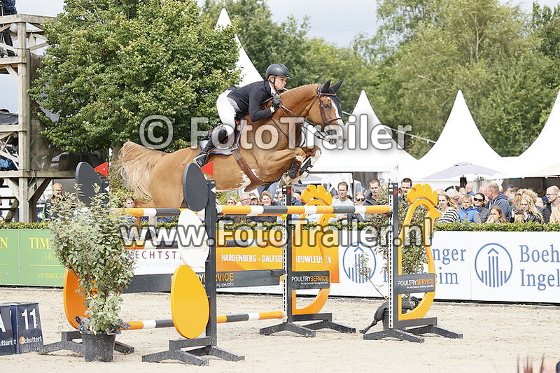 dennis van den brink