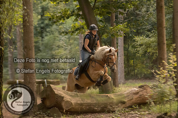 2017-08-01 Crosstraining merselo